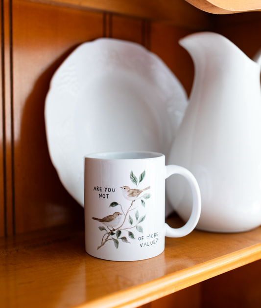 Are You Not Of More Value Mug