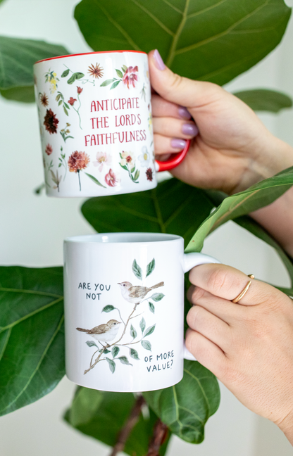 Are You Not Of More Value Mug